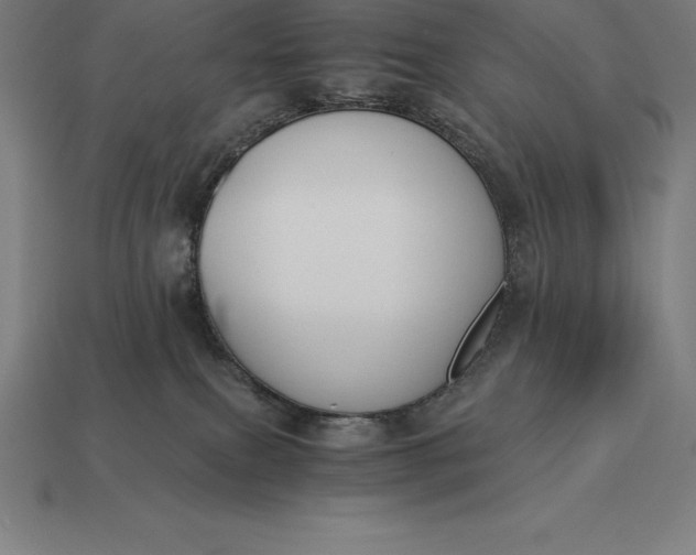 X0000113170087200909181841