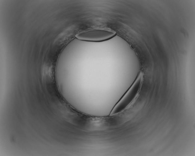 X0000113170088200909181841