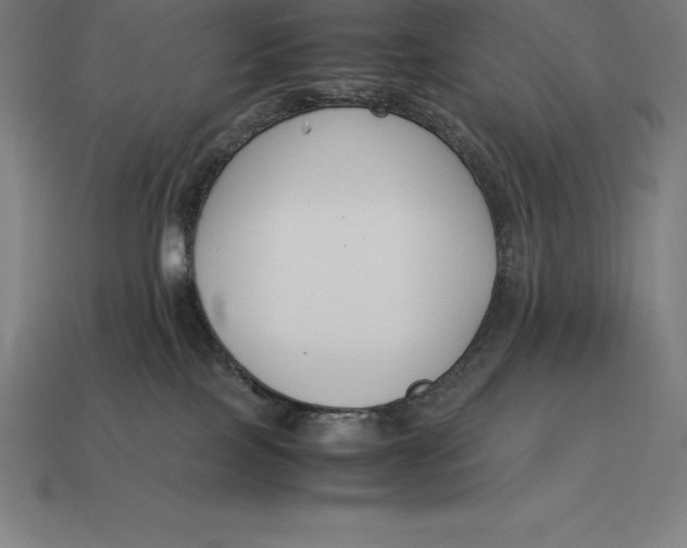 X0000113170089200909181841