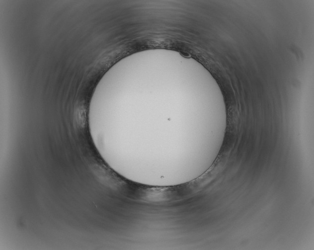 X0000113170090200909181841