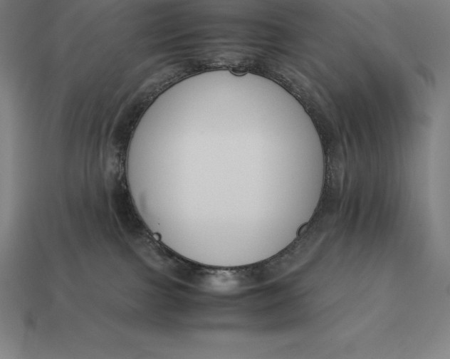 X0000113170091200909181841