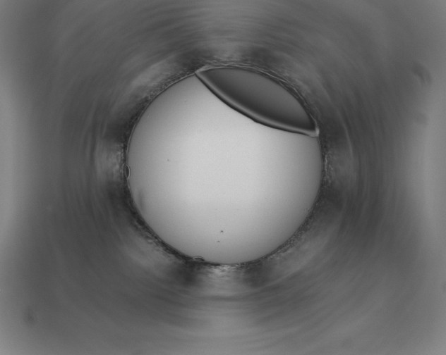 X0000113170092200909181841