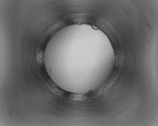 X0000113170093200909181841