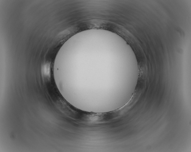 X0000113170094200909181841