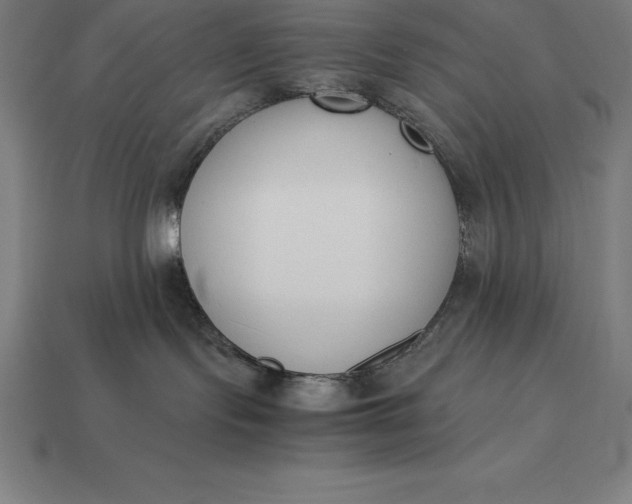 X0000113170095200909181841