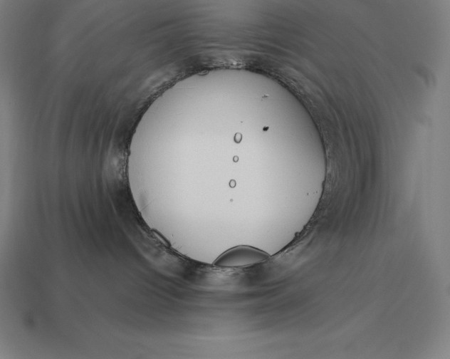 X0000113170096200909181841