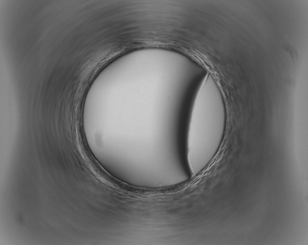 X0000113170097200909181840