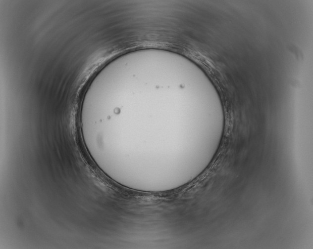 X0000113170098200909181840