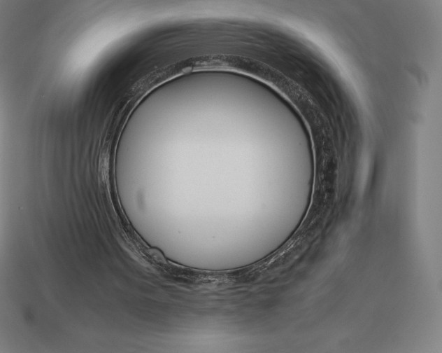 X0000113170099200909181840