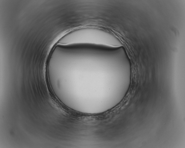 X0000113170100200909181840