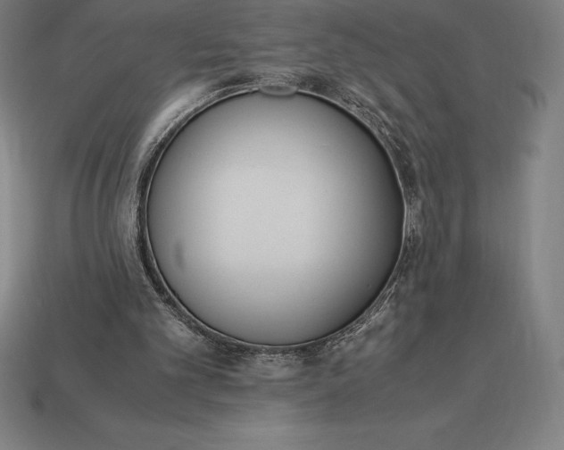 X0000113170101200909181840