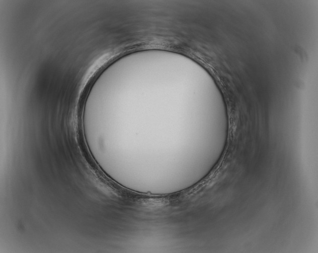 X0000113170102200909181840