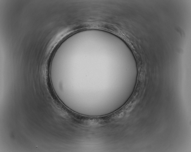 X0000113170103200909181840