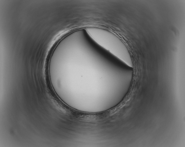 X0000113170104200909181840