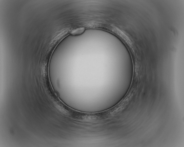 X0000113170105200909181840