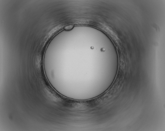 X0000113170107200909181840