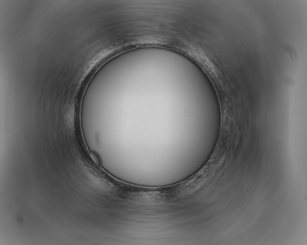 X0000113170108200909181840