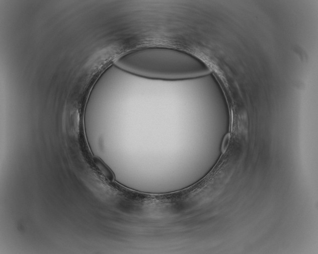 X0000113170109200909181840