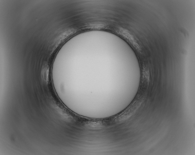 X0000113170110200909181840