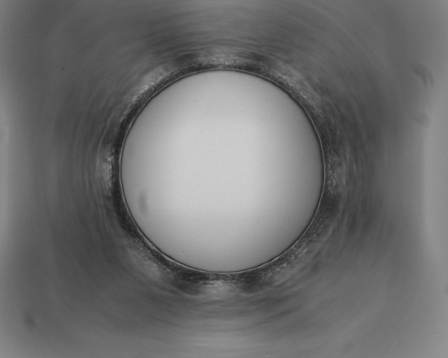 X0000113170111200909181840