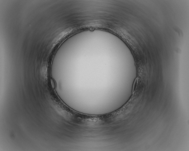 X0000113170112200909181840