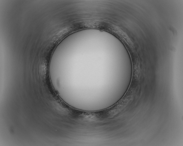 X0000113170113200909181840