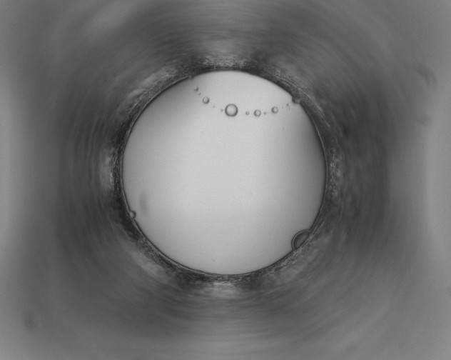 X0000113170114200909181840