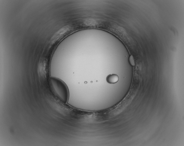 X0000113170116200909181840