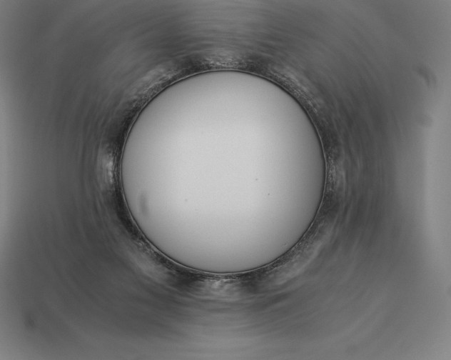 X0000113170117200909181840