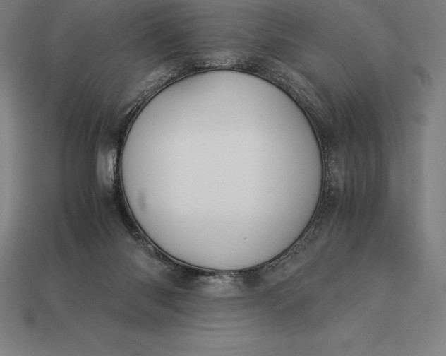 X0000113170118200909181840