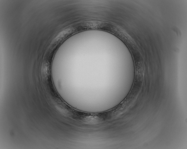 X0000113170119200909181840