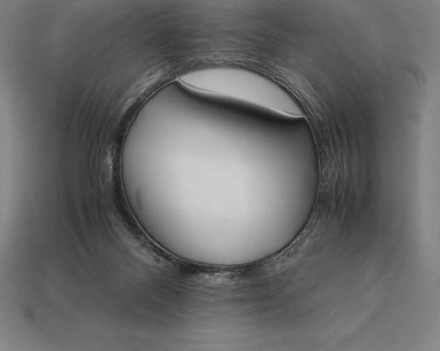 X0000113170120200909181840