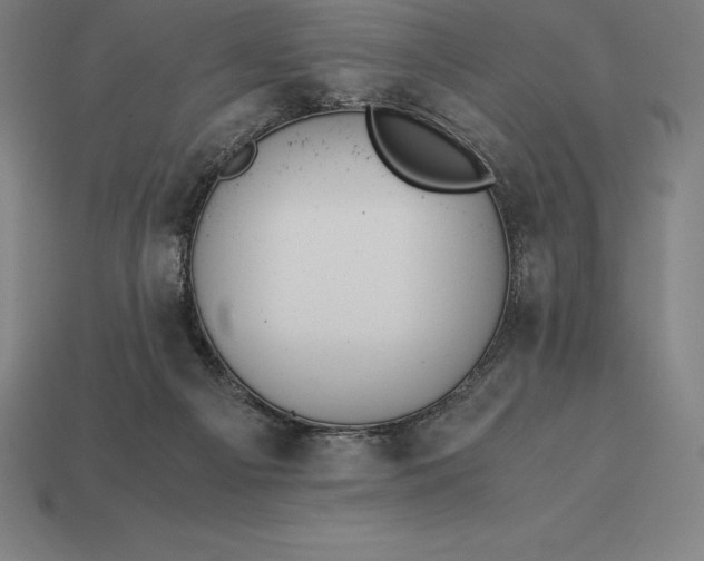 X0000113170121200909181840