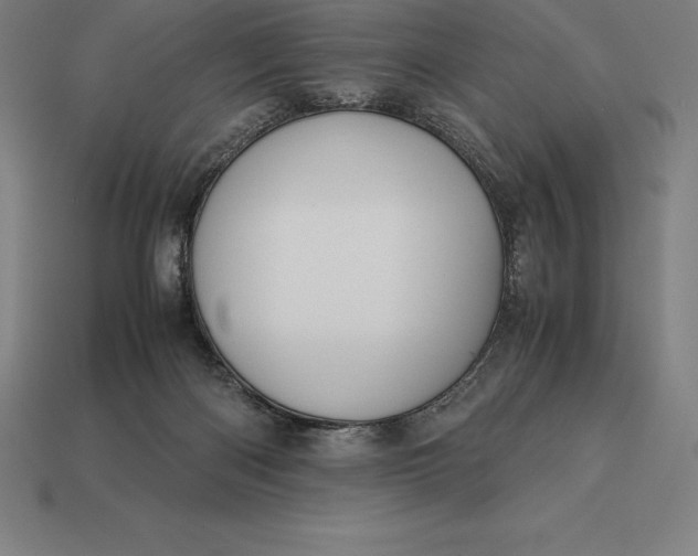 X0000113170122200909181840