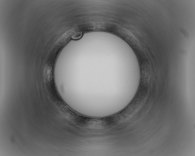 X0000113170123200909181840