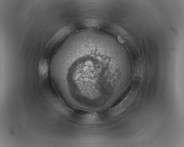 X0000113170124200909181840