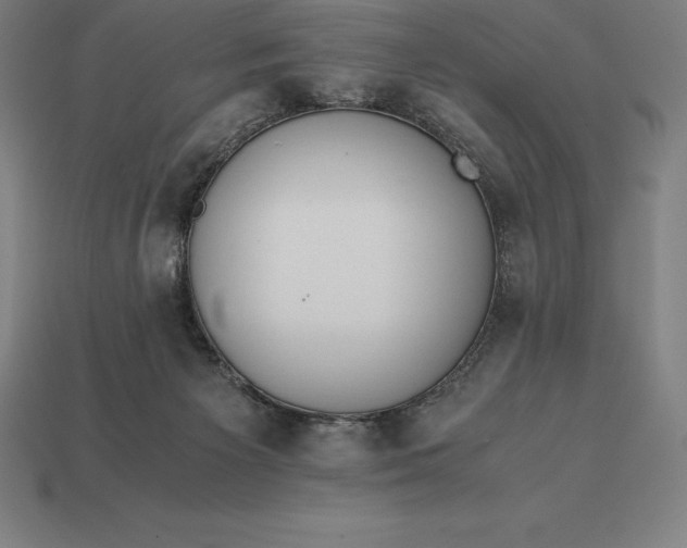 X0000113170125200909181840