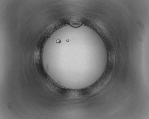 X0000113170127200909181840