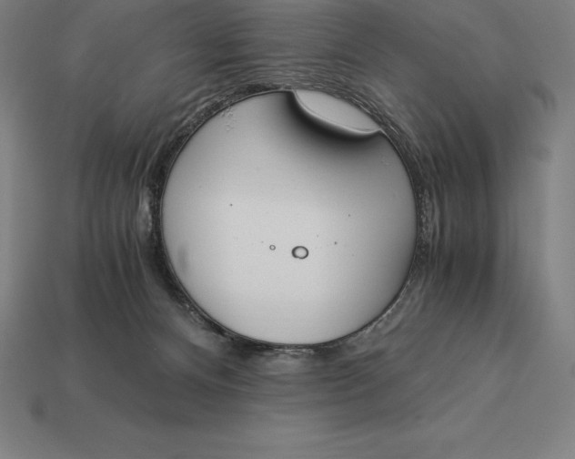 X0000113170128200909181840