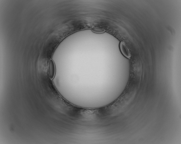 X0000113170129200909181840