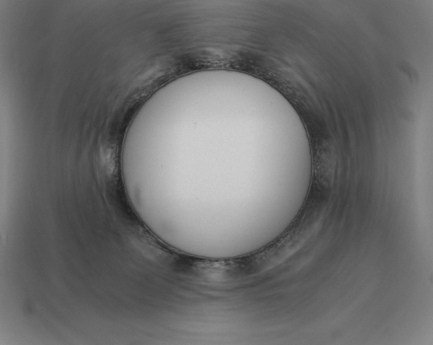 X0000113170131200909181839