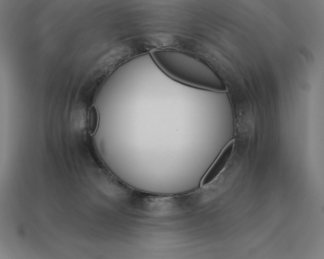 X0000113170132200909181839