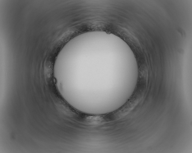 X0000113170133200909181839