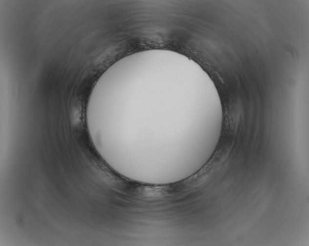 X0000113170134200909181839