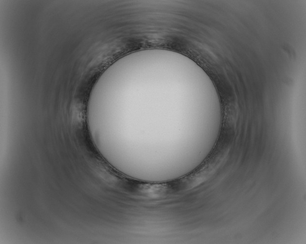 X0000113170135200909181839