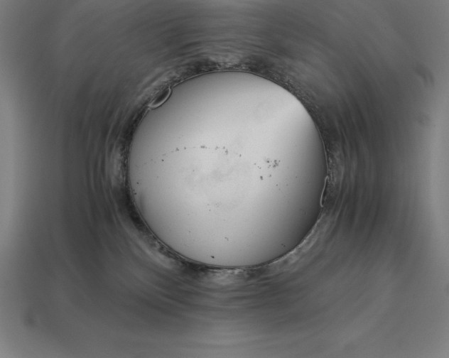 X0000113170136200909181839