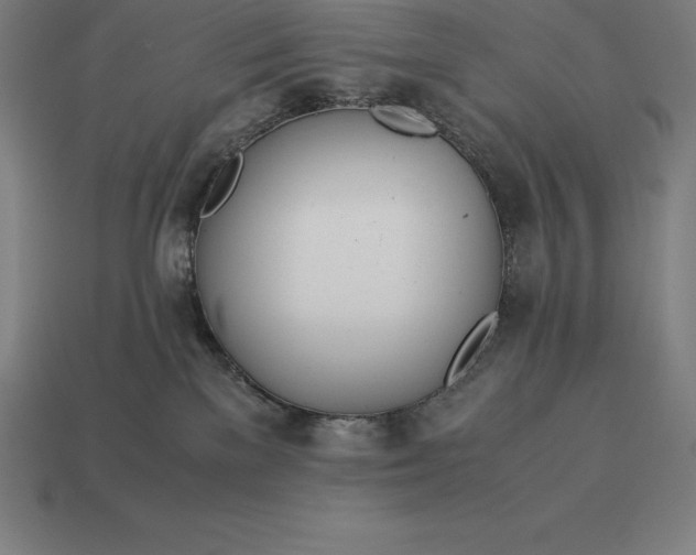 X0000113170137200909181839