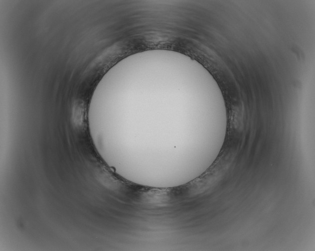 X0000113170138200909181839