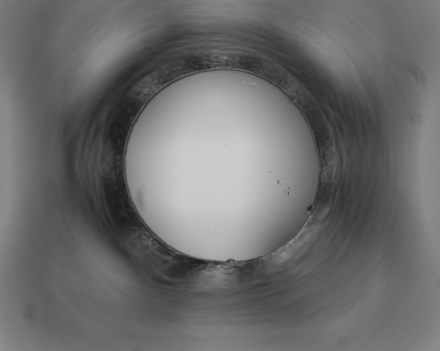 X0000113170140200909181839