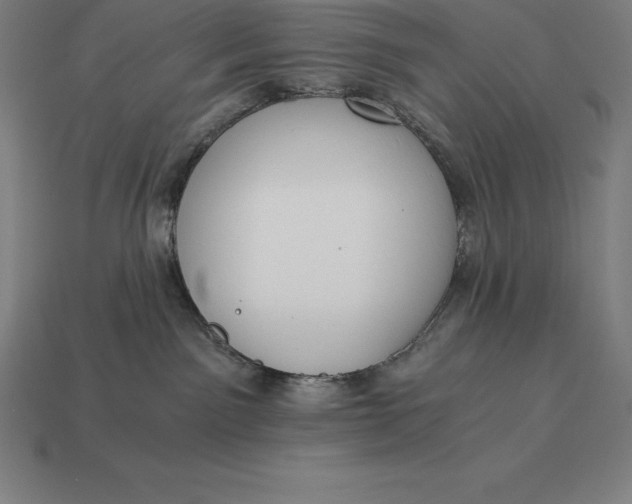 X0000113170141200909181839